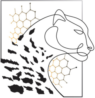 MrLeopard Media Cyprus